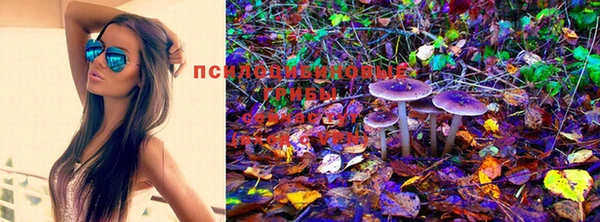 кокаин перу Алексин