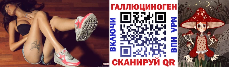 продажа наркотиков  площадка официальный сайт  Галлюциногенные грибы прущие грибы  Железногорск-Илимский 